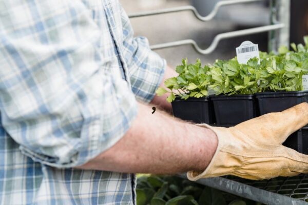 How to choose the right location for container gardening?