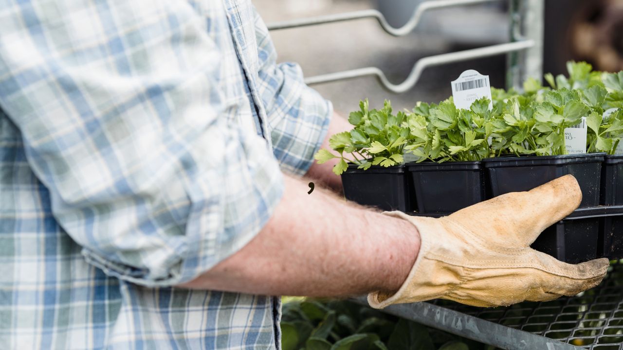 How to choose the right location for container gardening?