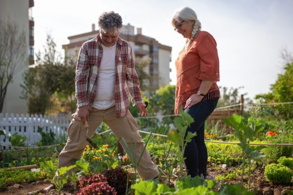 How to prepare the soil for planting vegetables?