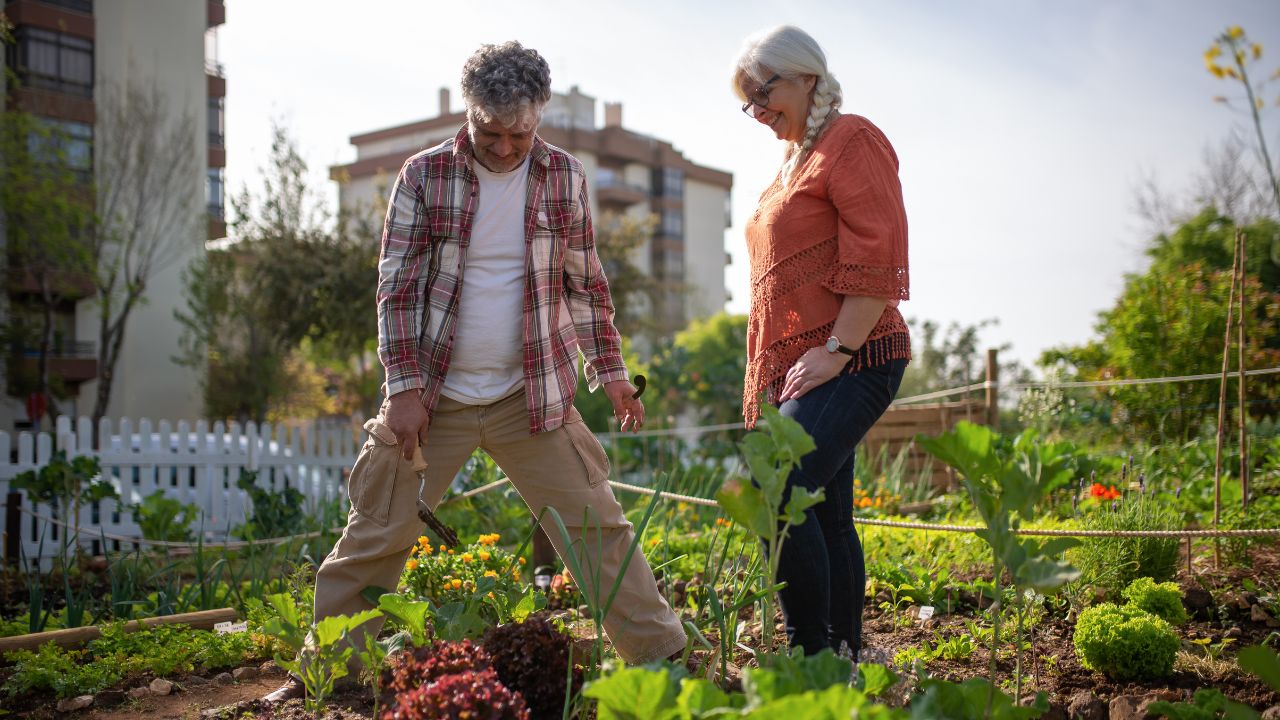 How to prepare the soil for planting vegetables?