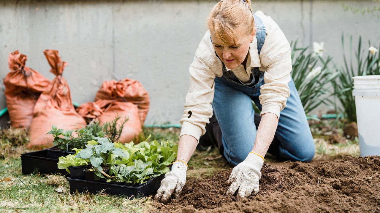 How to prevent pests and diseases in a vegetable garden