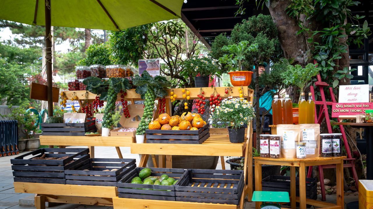 How to store vegetables after harvesting