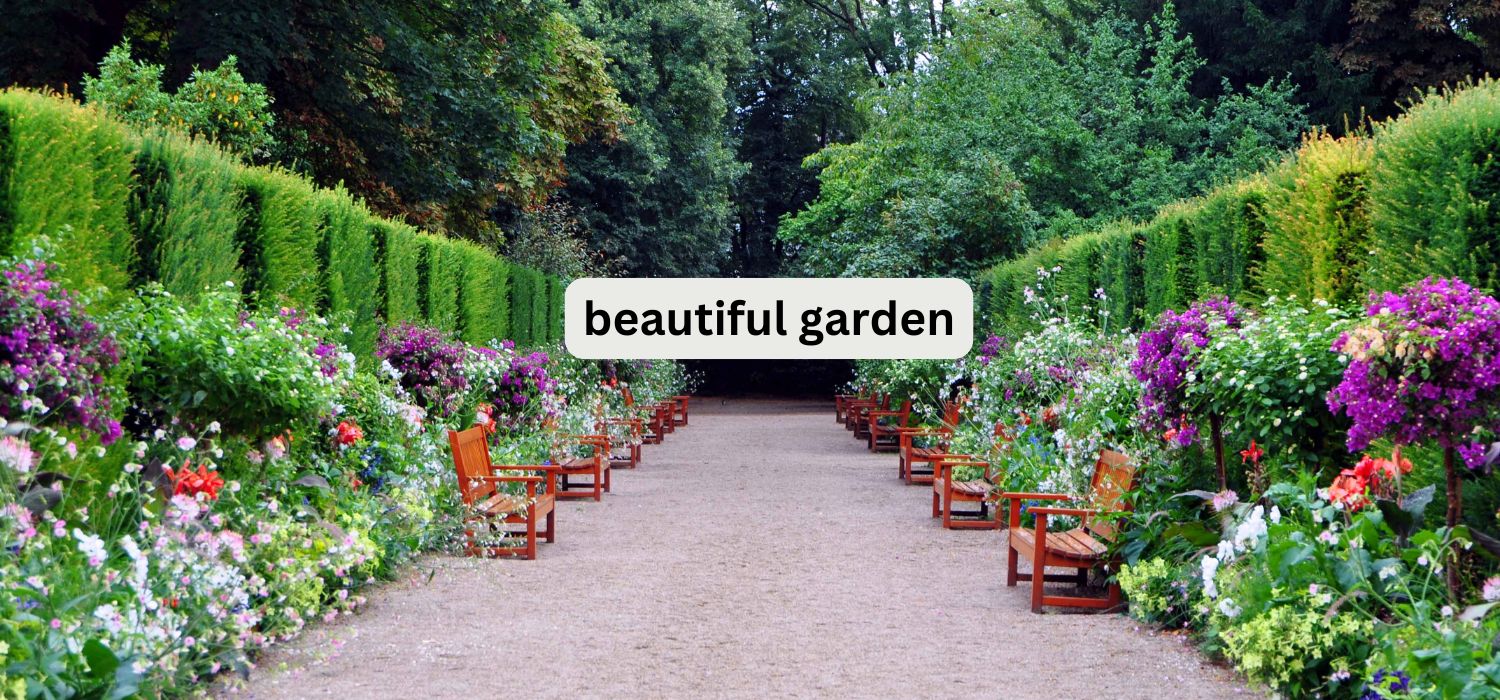 beautiful garden