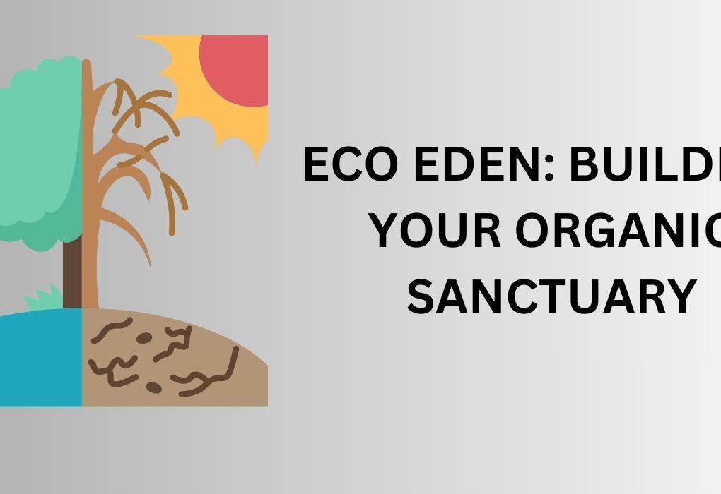 Eco Eden: Building Your Organic Sanctuary