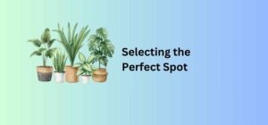 Selecting the Perfect Spot