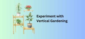 Experiment with Vertical Gardening